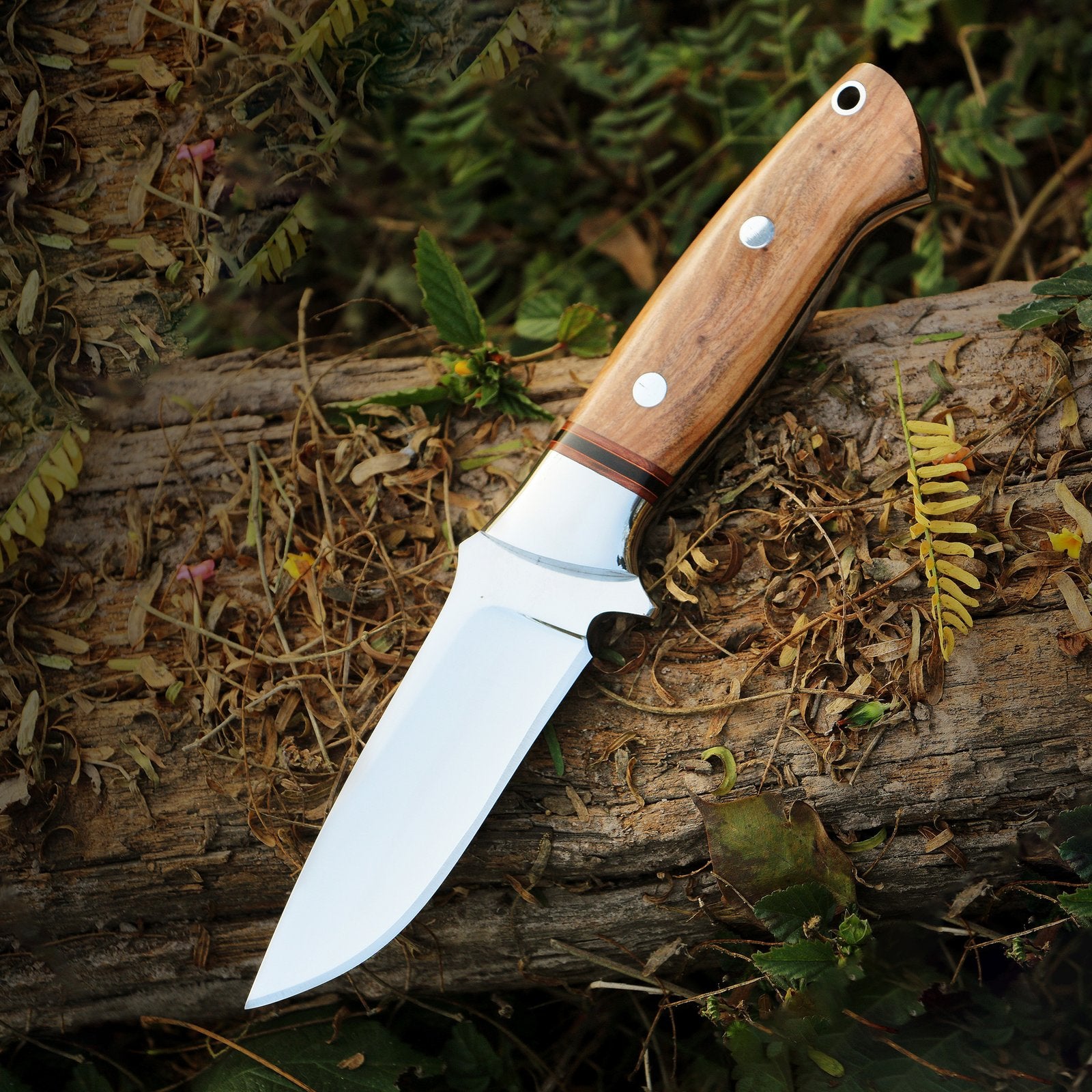 Olive Wood Drop Point Skinner A Versatile Outdoor Knife