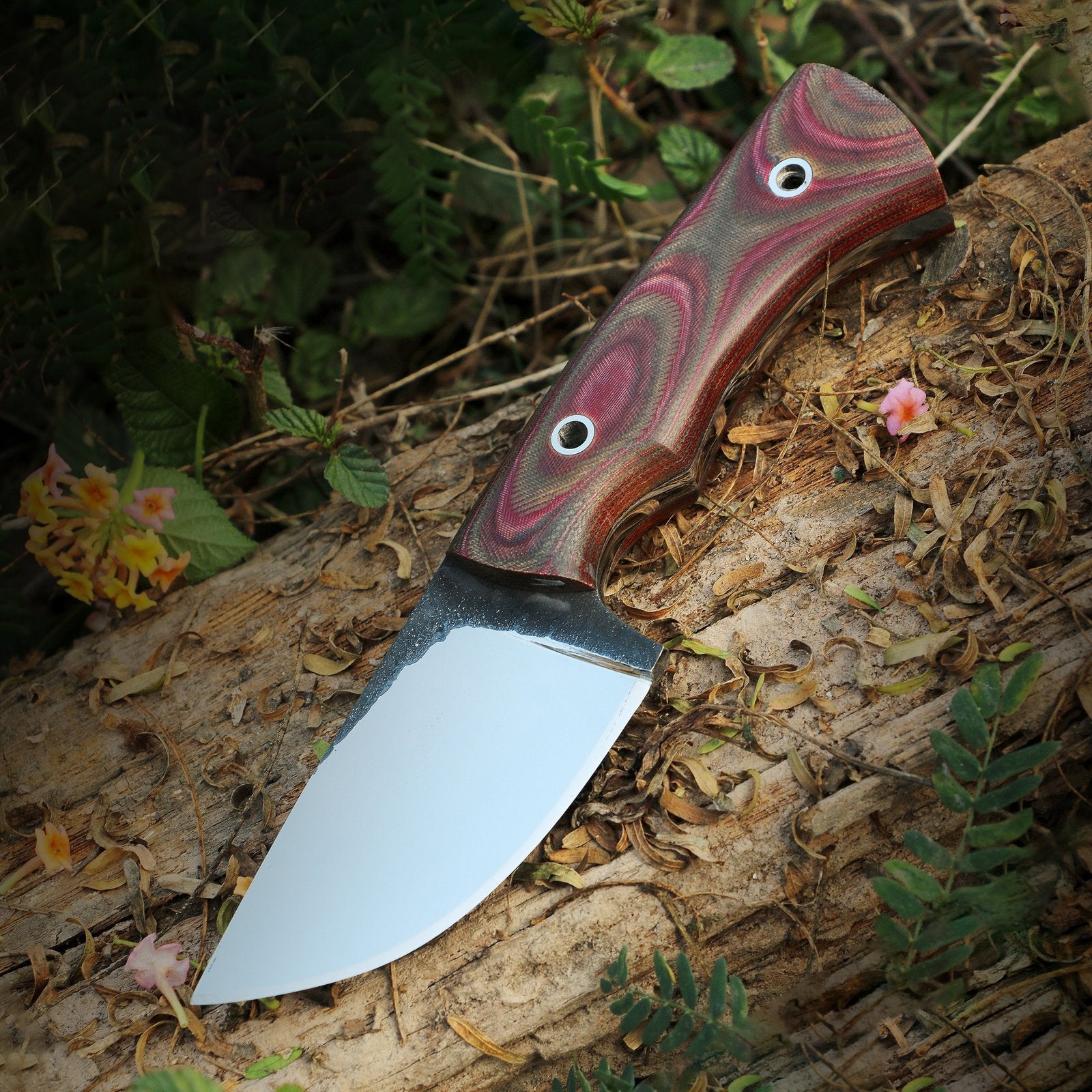 High Carbon G10 Handle Skinner The Ultimate Outdoor Companion