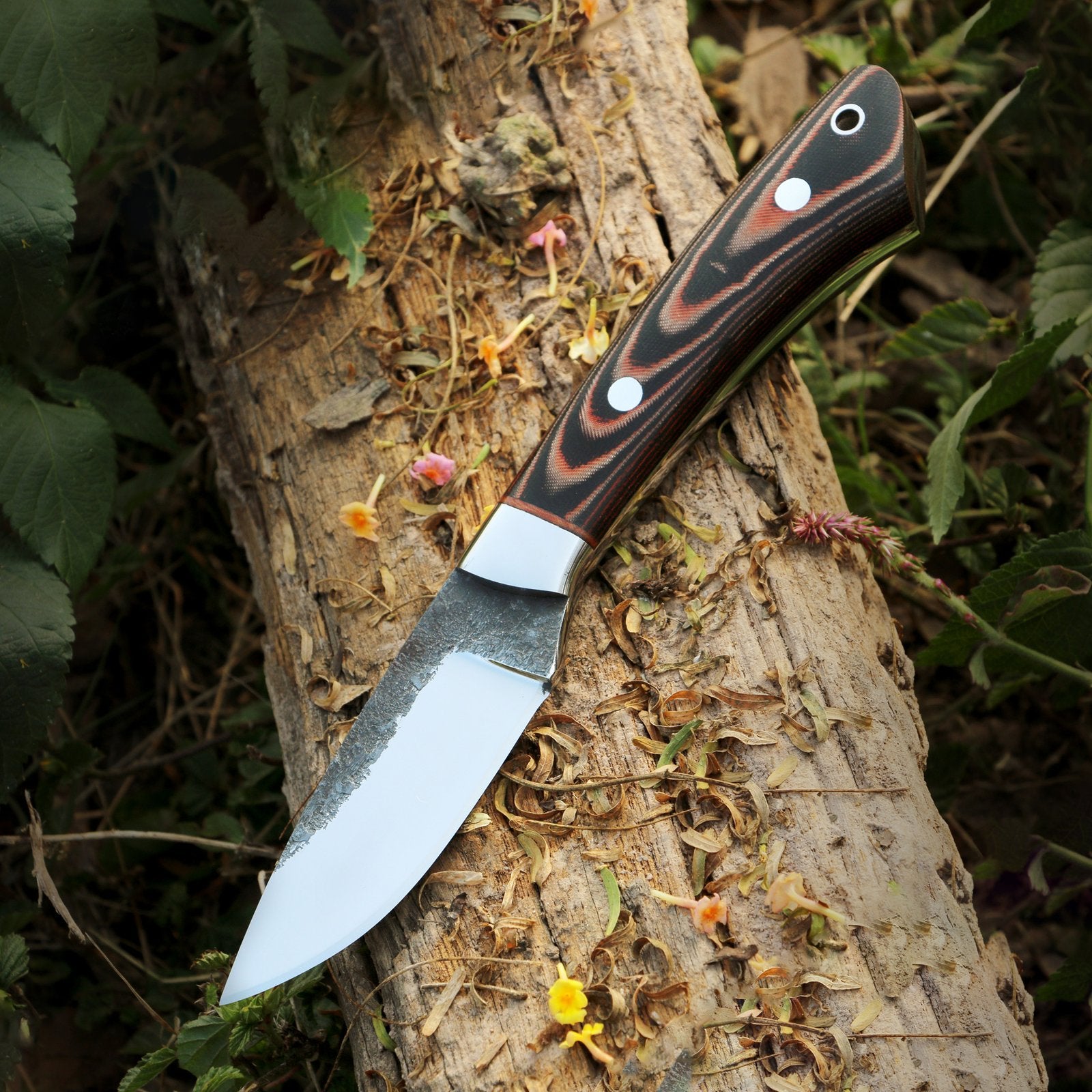 High Carbon Drop Point Skinner Your Ultimate Outdoor Companion