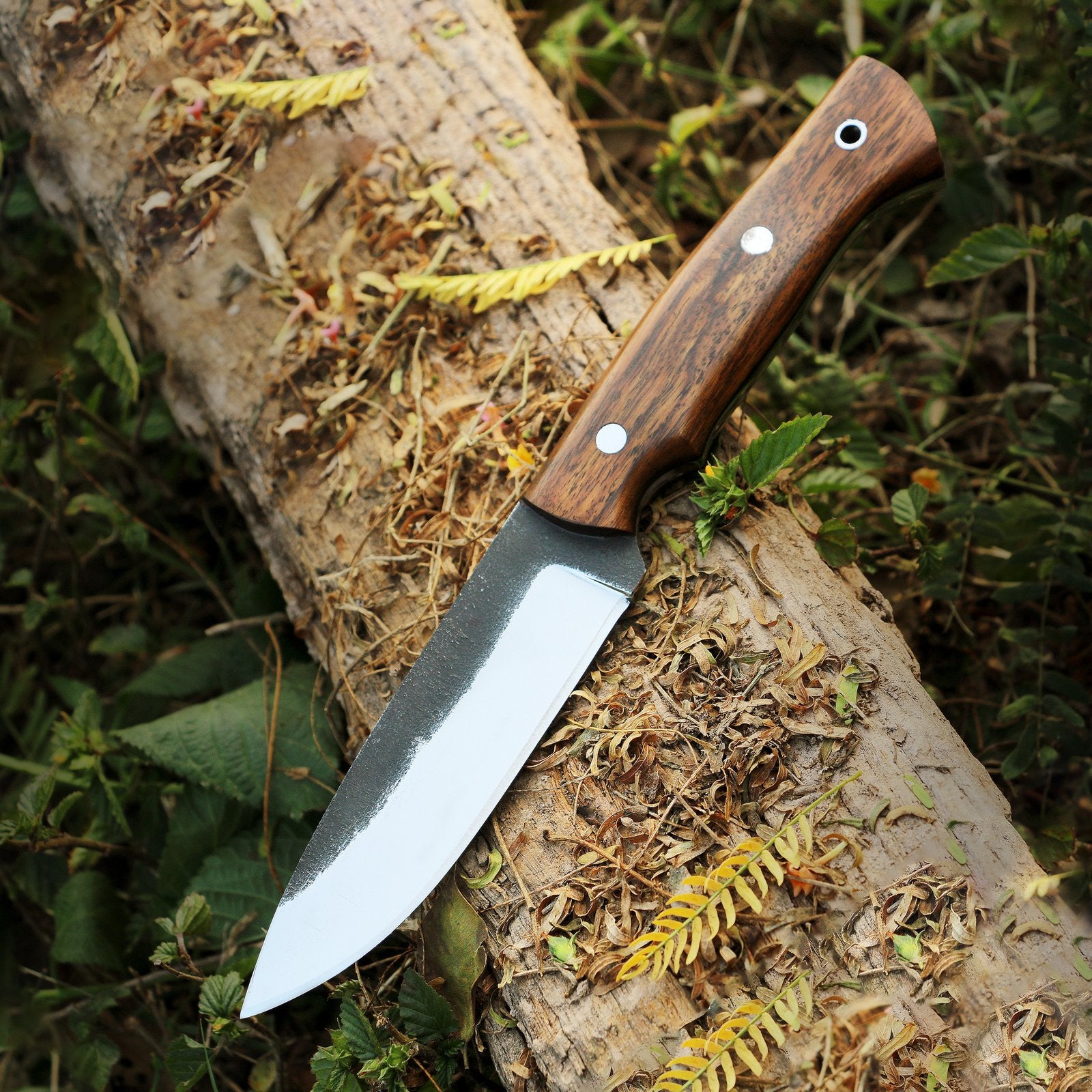 Rosewood Drop Point Skinner Knife Your Ultimate Outdoor Companion