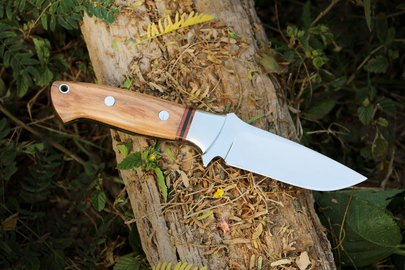 Olive Wood Drop Point Skinner A Versatile Outdoor Knife